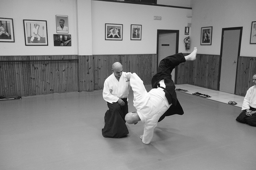 Aikido de León