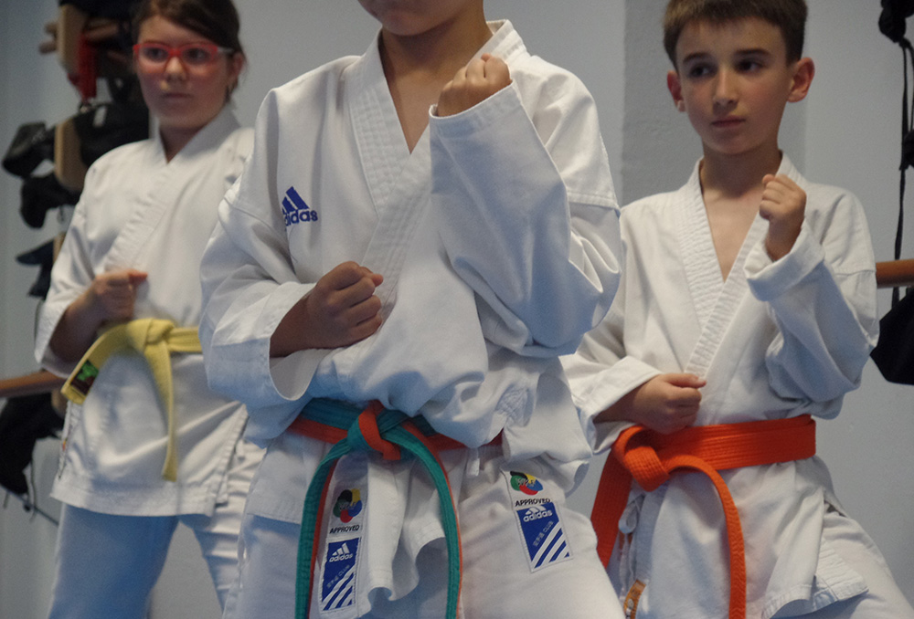 Detalle Guardia Karate