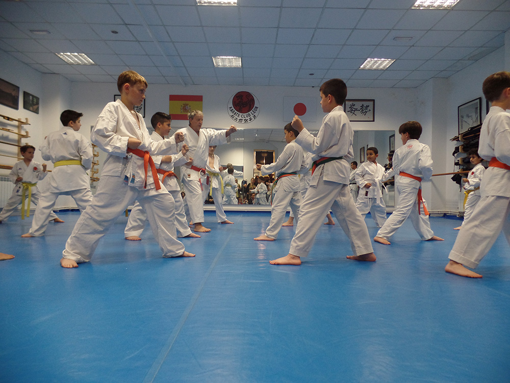 Karate Infantil Enseñanza